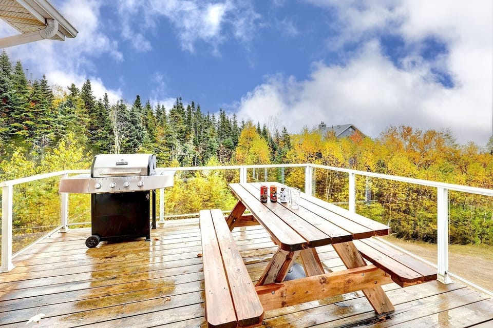 Une vue incroyable sur le patio de l'étage WOW :)

BBQ et table à pique-nique pour admirer la vue!