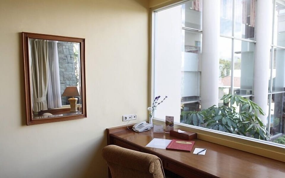 Superior Suite | View from room