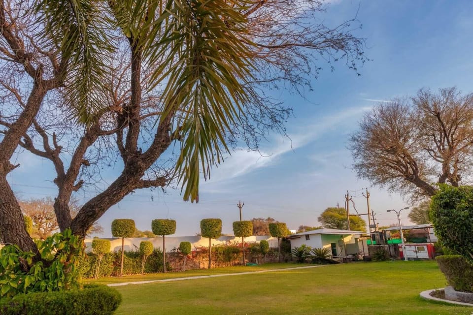 Garden view