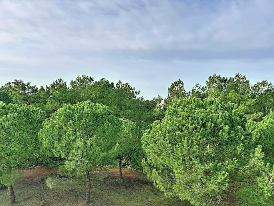 Aerial photography