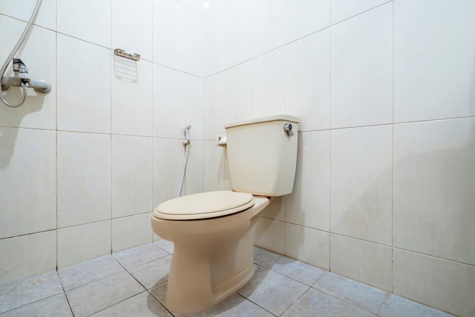 Deluxe Double Room | Bathroom | Shower, free toiletries, towels