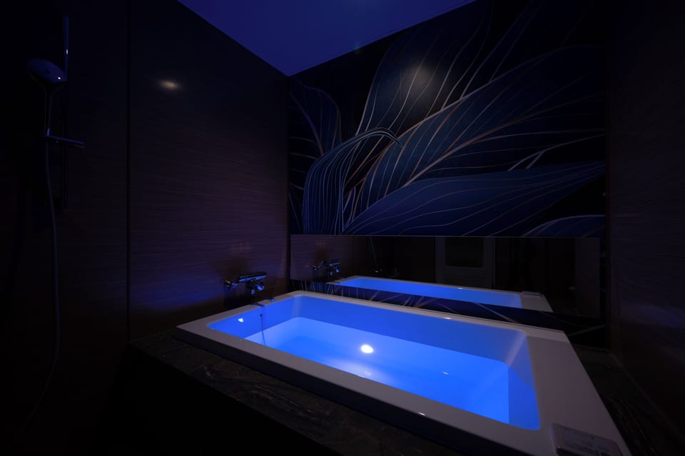 Deluxe Double Room | Bathroom | Separate tub and shower, free toiletries, hair dryer, towels