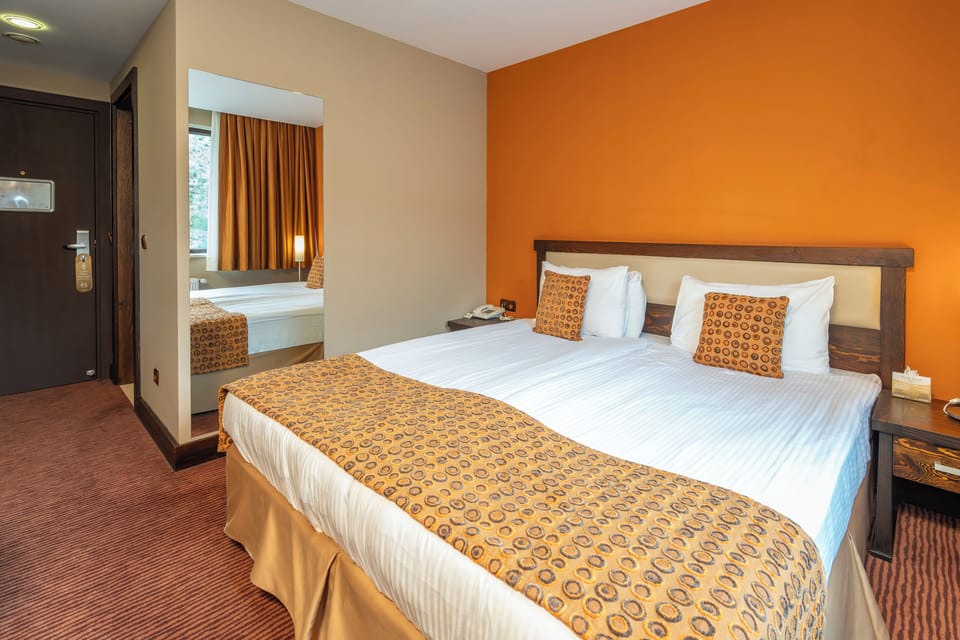 Standard Mountain View Room | Laptop workspace, WiFi (free), bed sheets