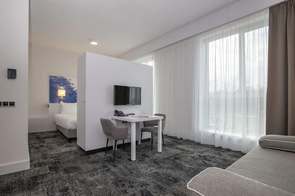 Stretch out in the spacious studio living area filled with daylight.