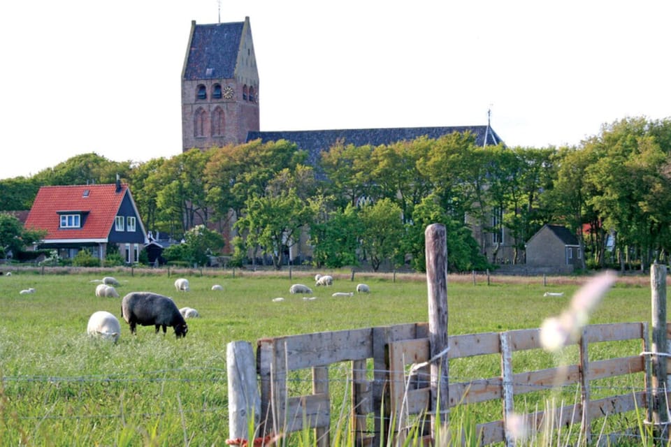Explore pastoral countryside views that instantly slow your pace.