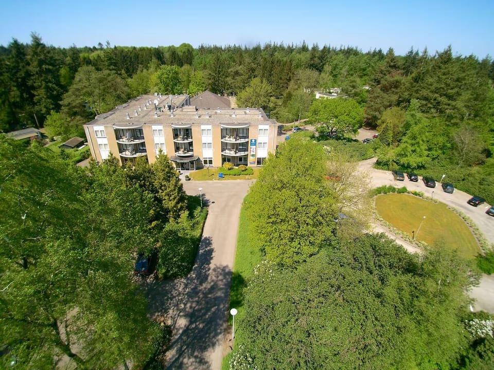 Soak up the quiet woodland surroundings from above.