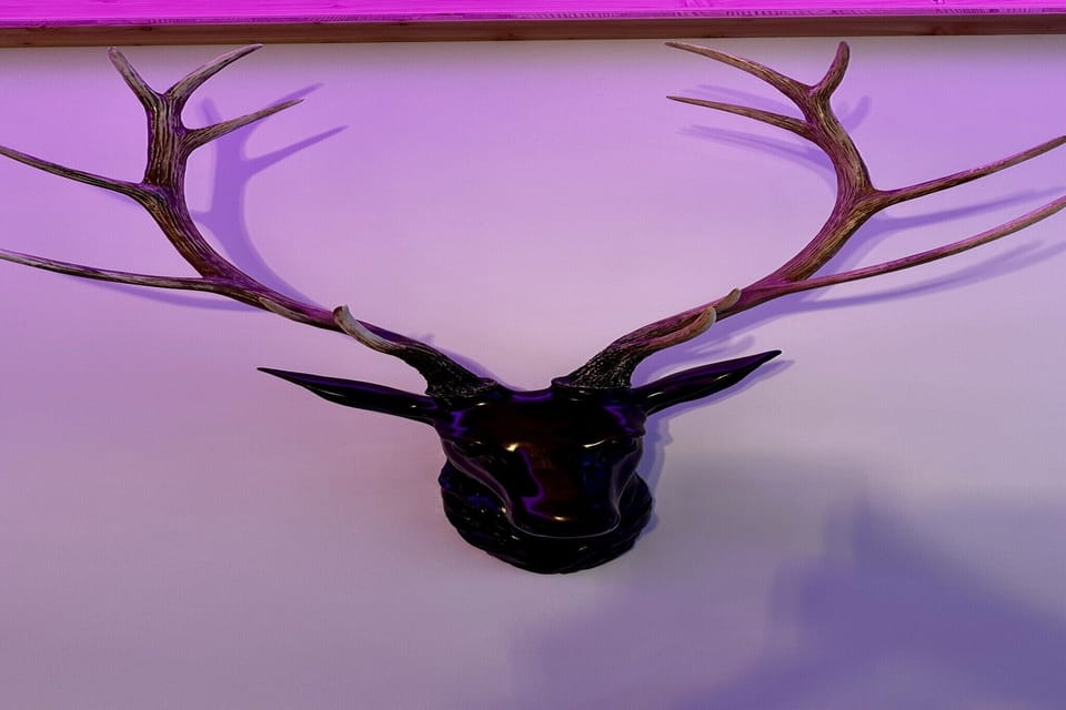 Ambiance / Close-up