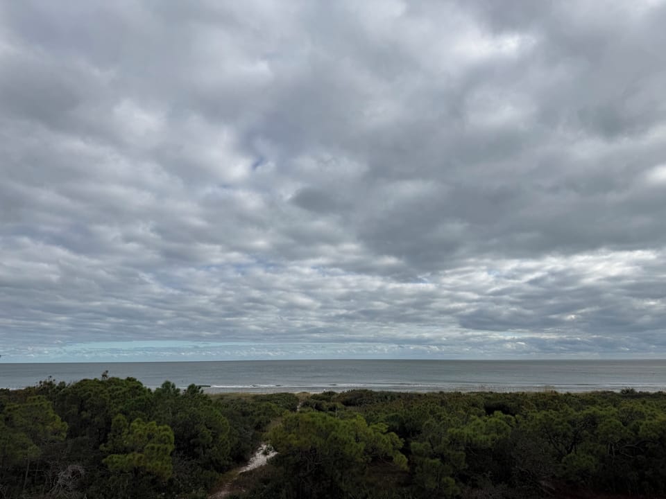 Dramatic cloudy skies stretch over coastal landscape with dense forest leading to ocean shoreline.