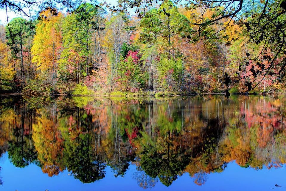Pond Nearby, Fishing is Allowed with license