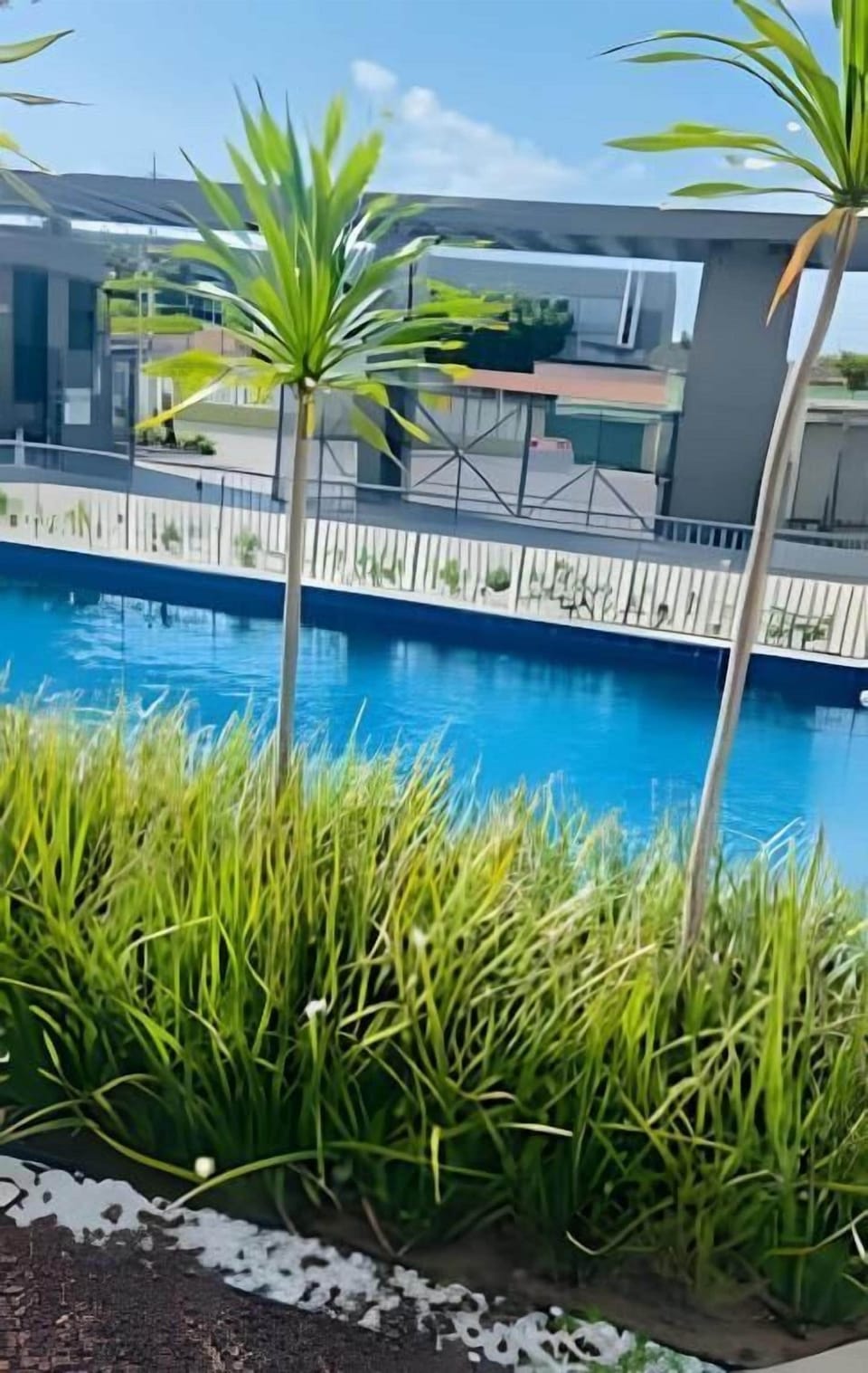Apartment | Pool | Outdoor pool