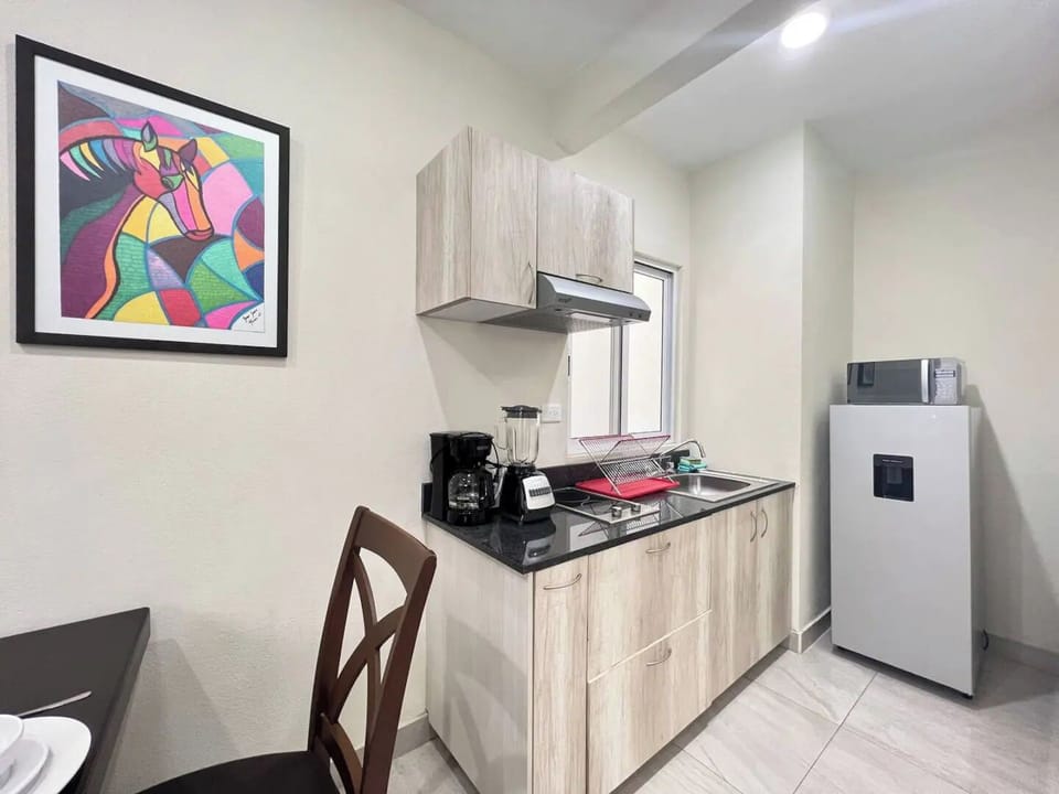 Basic Studio | Private kitchen | Full-size fridge, microwave, stovetop, cookware/dishes/utensils