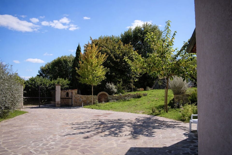 Autumn, Garden, Spring, Summer