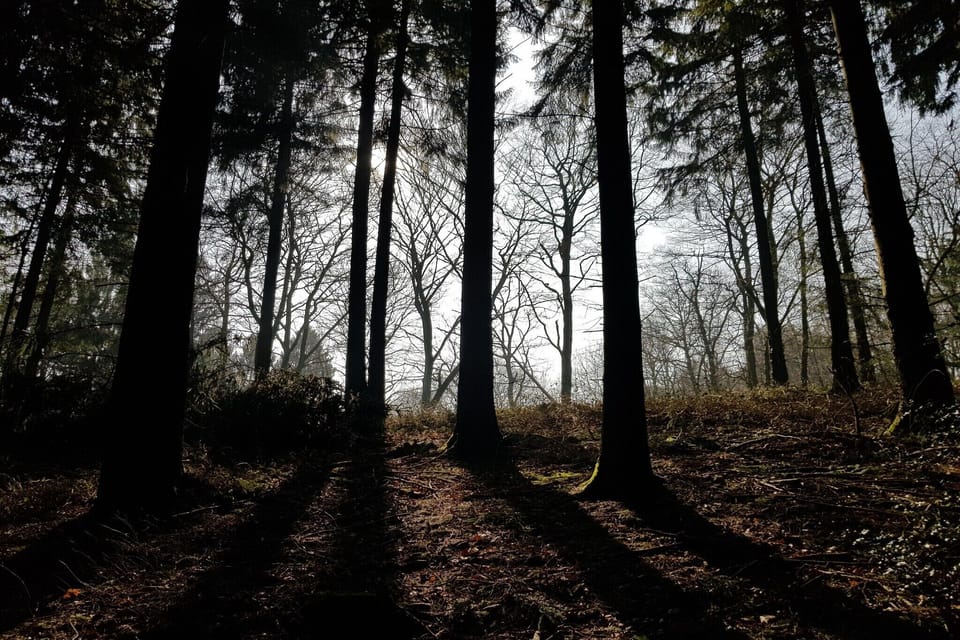 Surroundings [summer] (1-5 km)