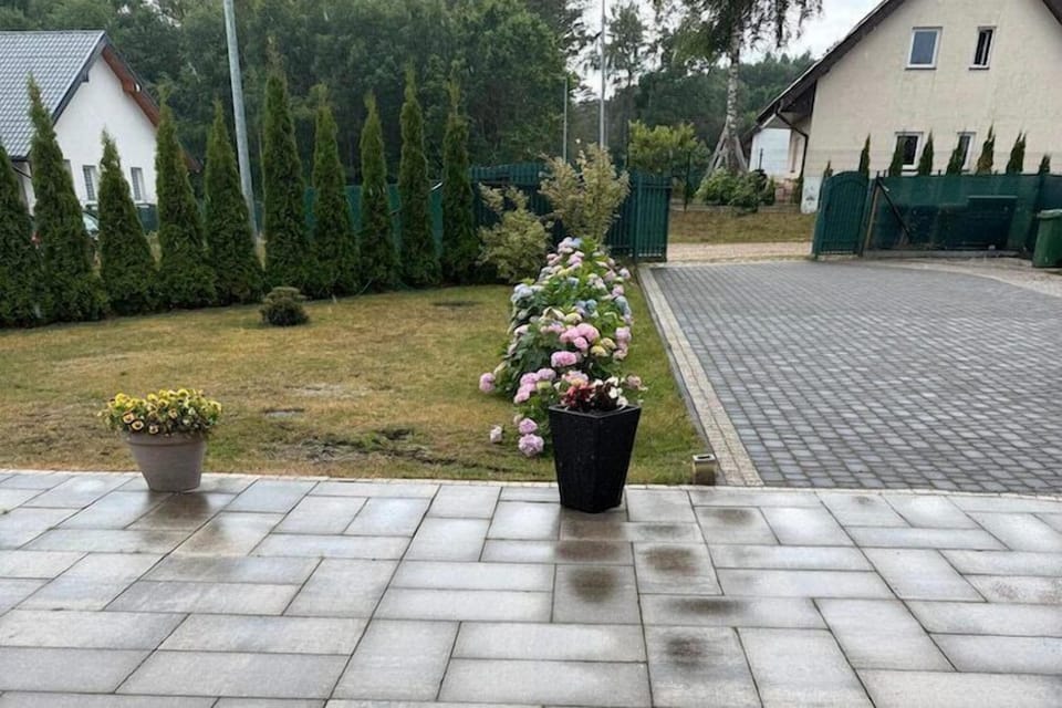 Garden [summer]