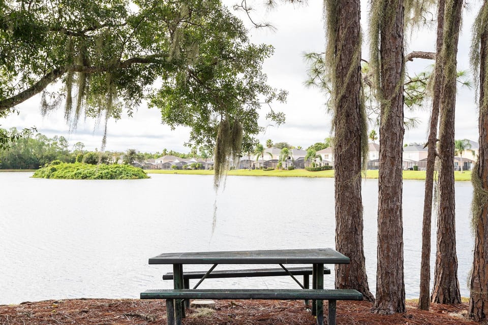 Lake view