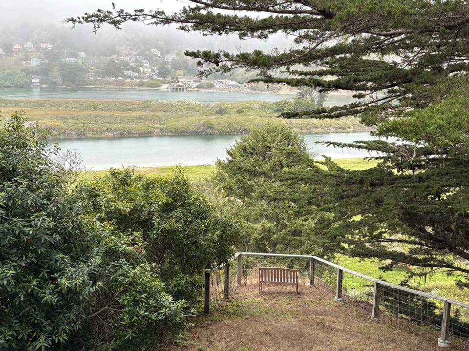 View from property