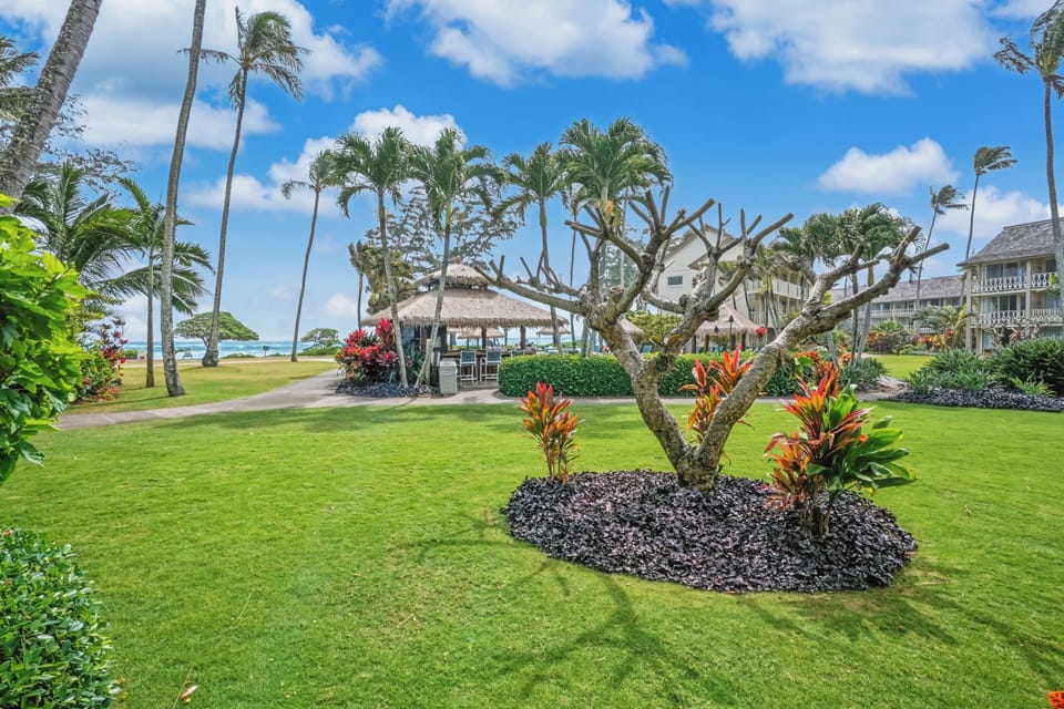 View from Lanai.