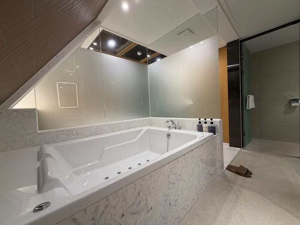 Royal Suite | Bathroom | Separate tub and shower, hair dryer, towels, shampoo