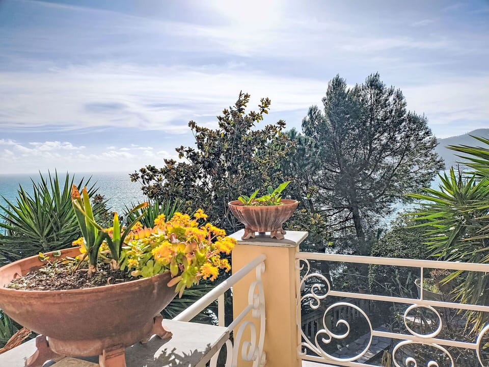 Flowerpot, Sea, Ocean, Balcony, Houseplant, Coast, Chair, Eco Hotel, Vase, Tropics