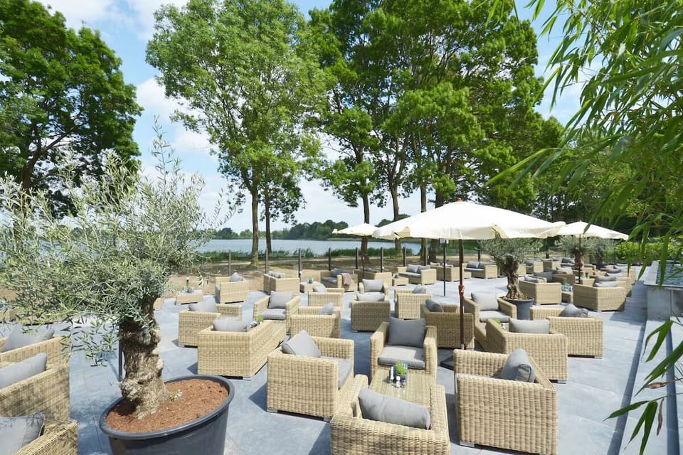 Unwind outdoors on plush loungers beneath shady lakeside trees.