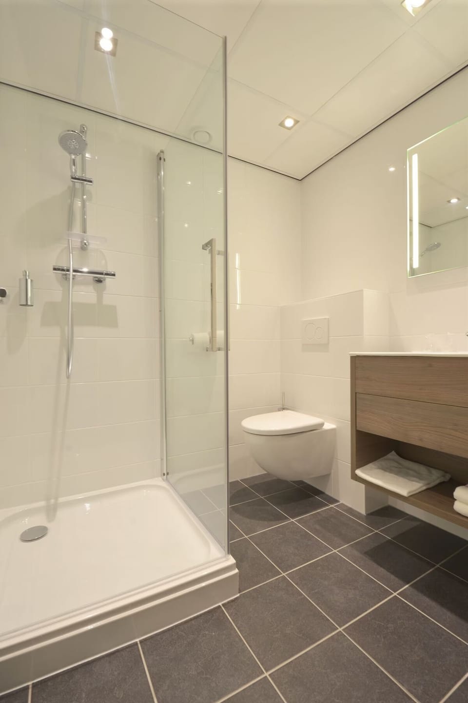 Recharge with a sleek walk-in shower and fluffy towels.