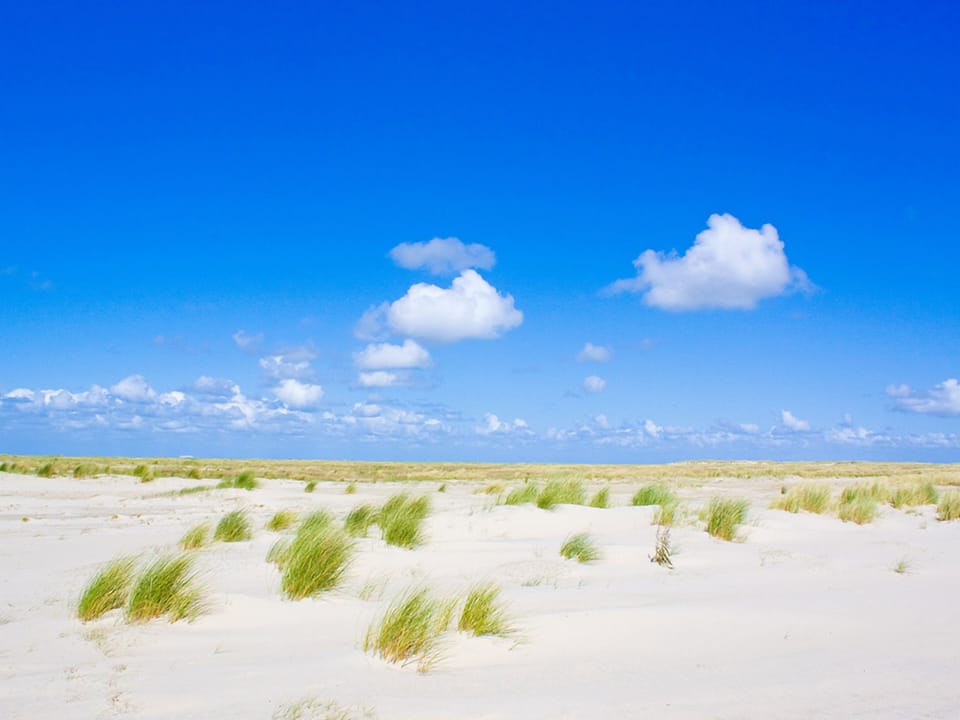 Wander endless dunes under bright skies and open horizons.