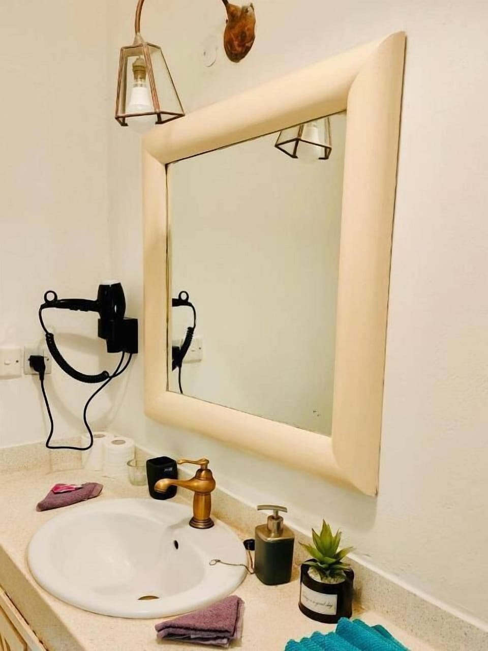 Deluxe Single Room, Garden View | Free WiFi, bed sheets