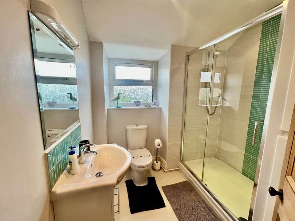 Shower, WC and basin