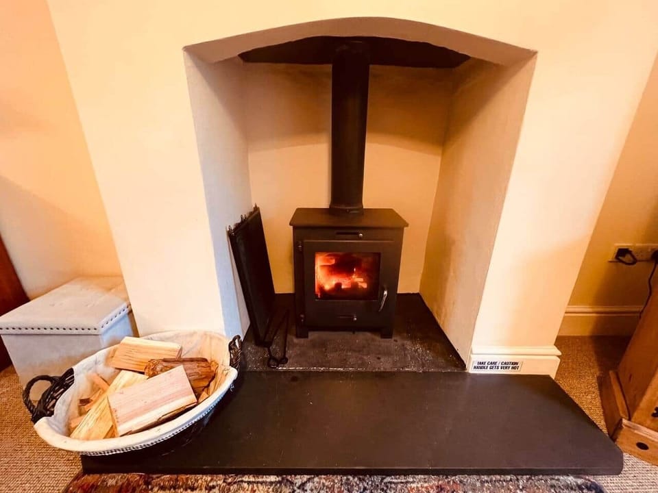 Real log burner with guard