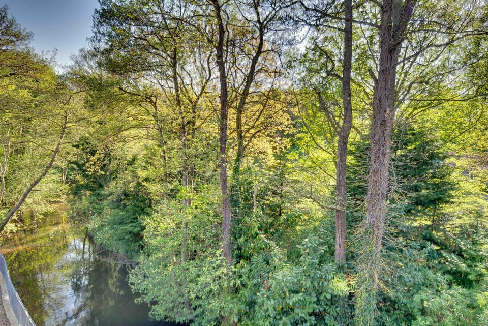 River View from Balcony