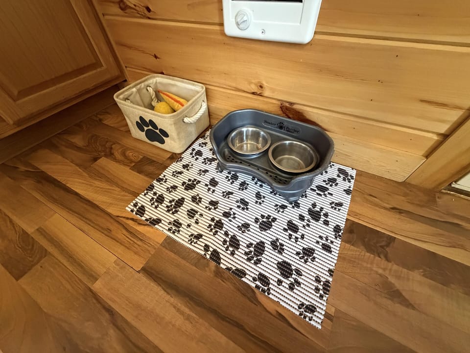 Pet feeding station with paw-print mat, gray double bowls, and toy basket on wood floor and wall.