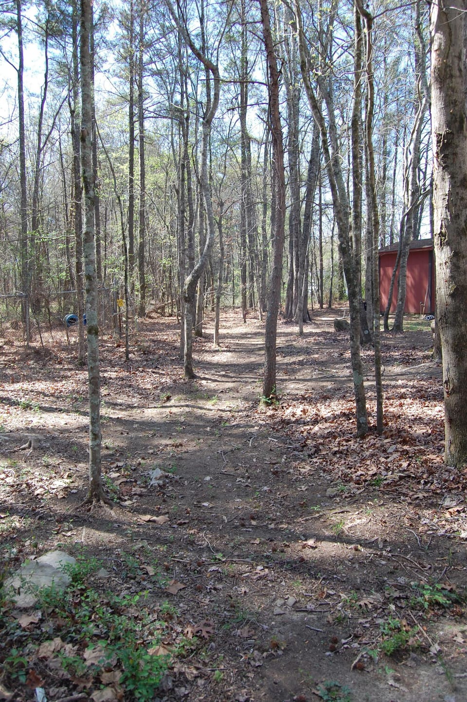 Walking Trail
