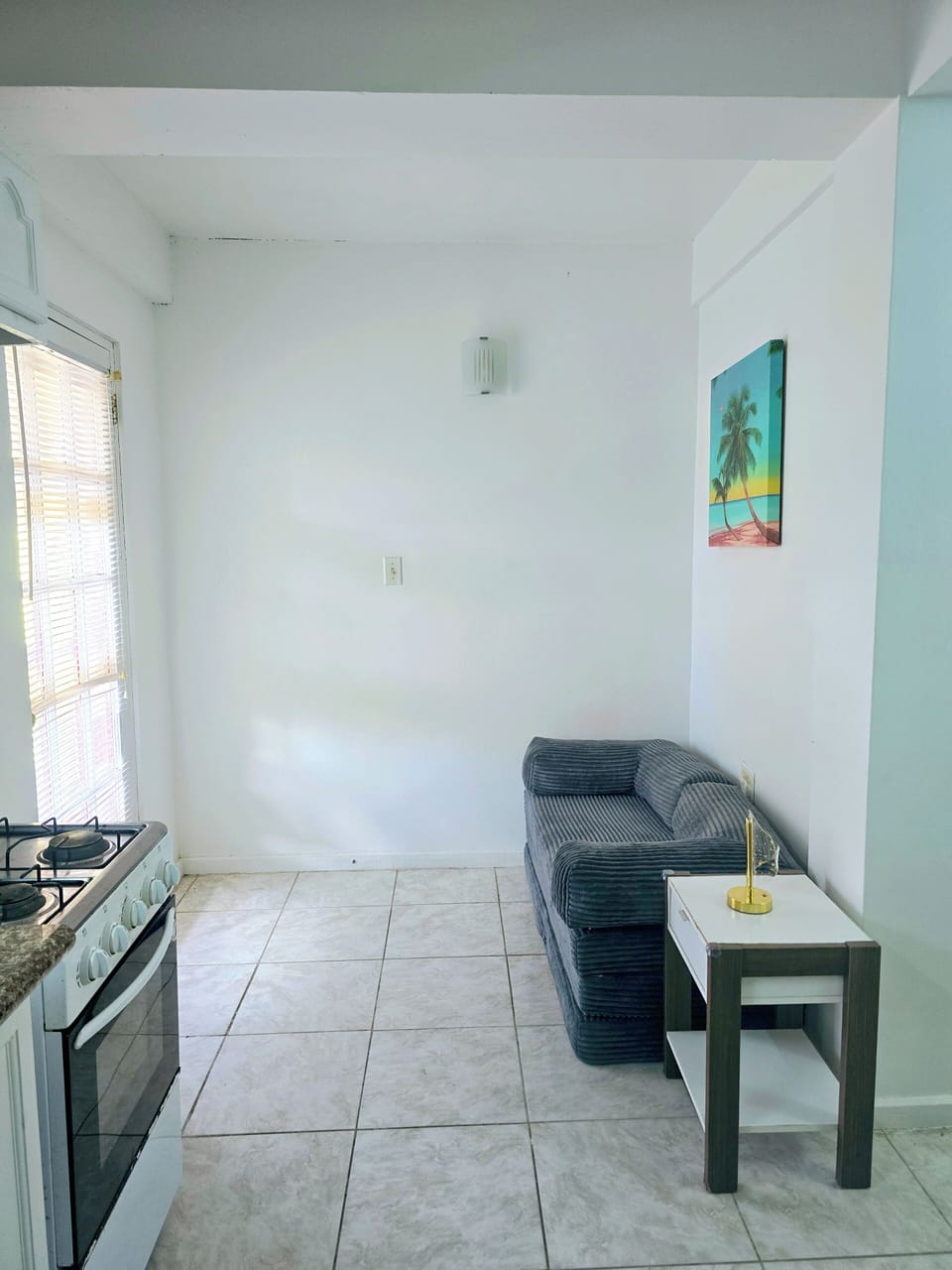 Living room with sofa bed