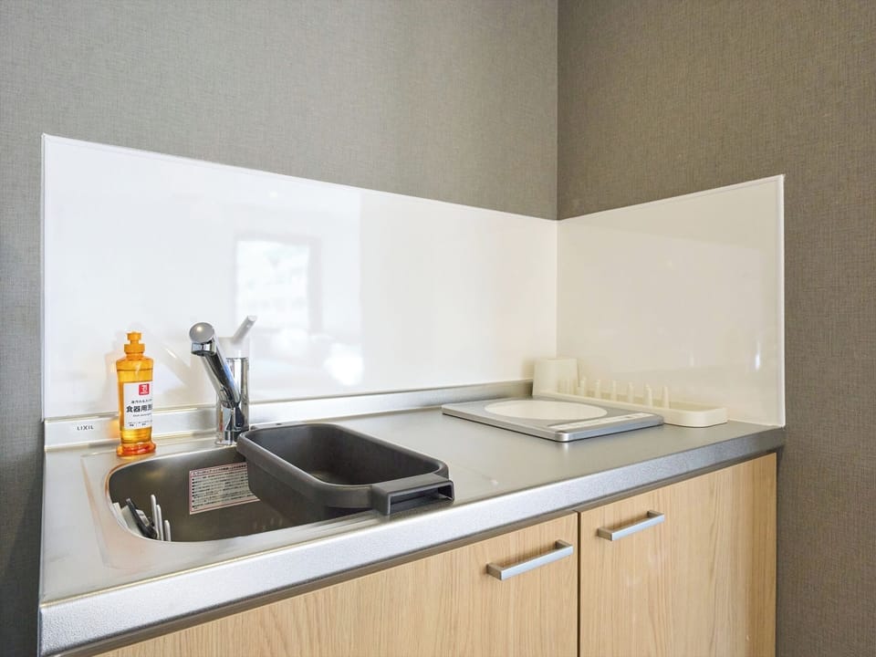 Deluxe Apartment, Balcony, City View | Private kitchen | Full-size fridge, stovetop, cookware/dishes/utensils, freezer