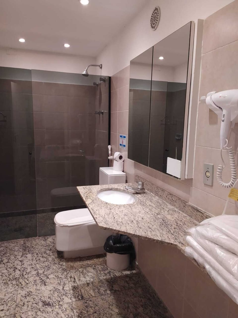 Standard Studio Suite | Bathroom | Shower, hair dryer, towels