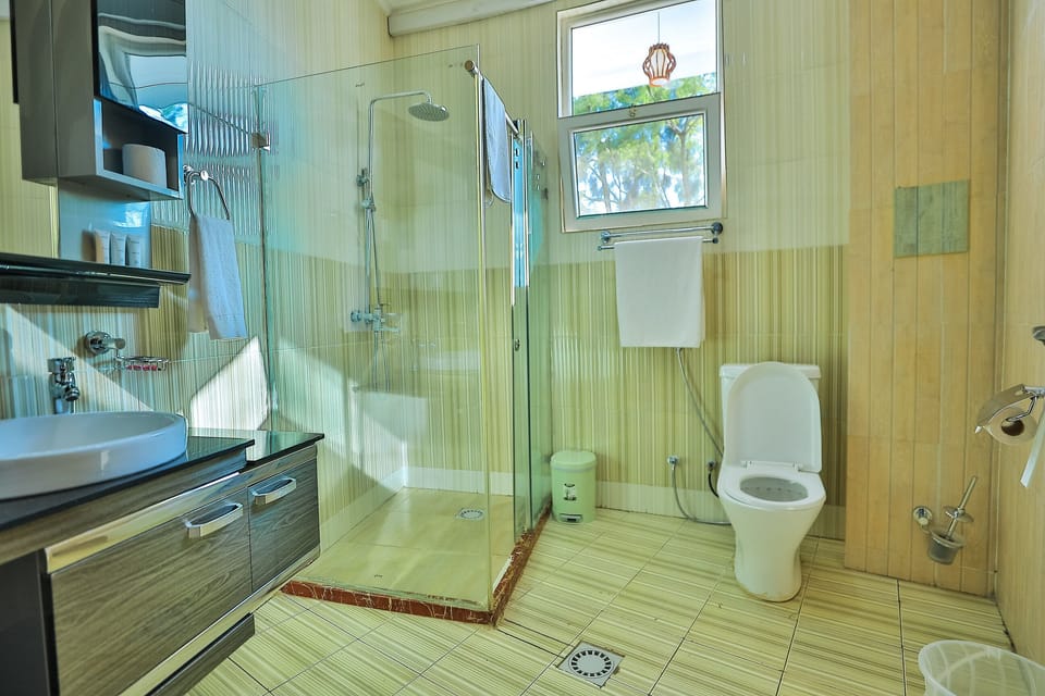 Shower, towels