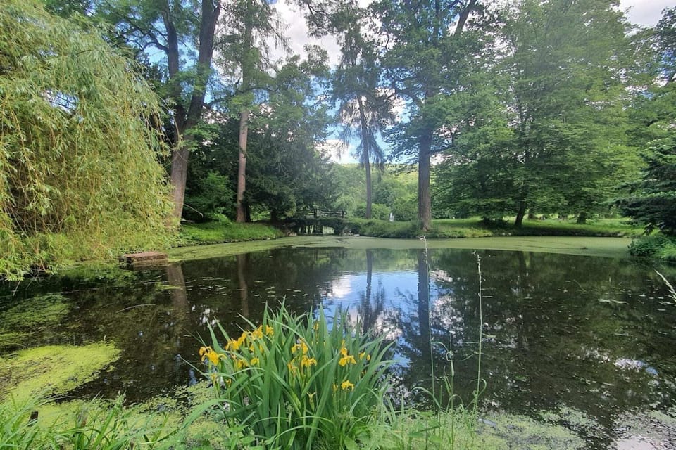 Surroundings [summer] (1-5 km)
