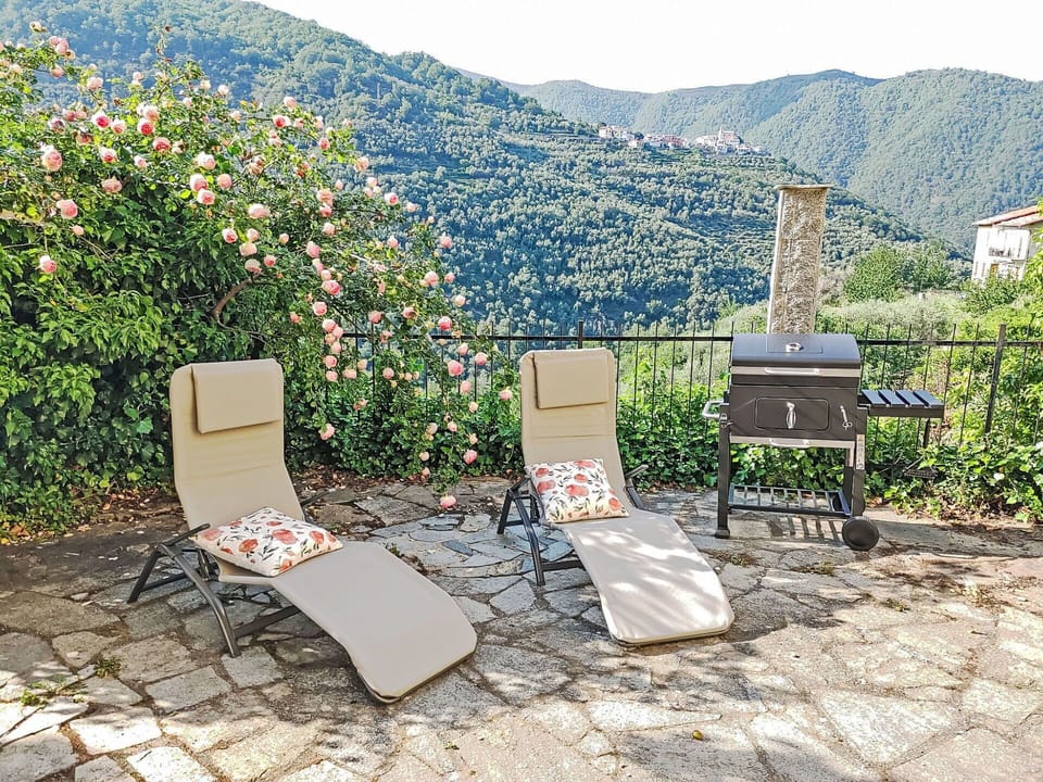 Furniture, Outdoor Furniture, Chair, Shade, Canopy, Outdoor Table, Outdoor Structure, Patio, Awning, Kitchen & Dining Room Table