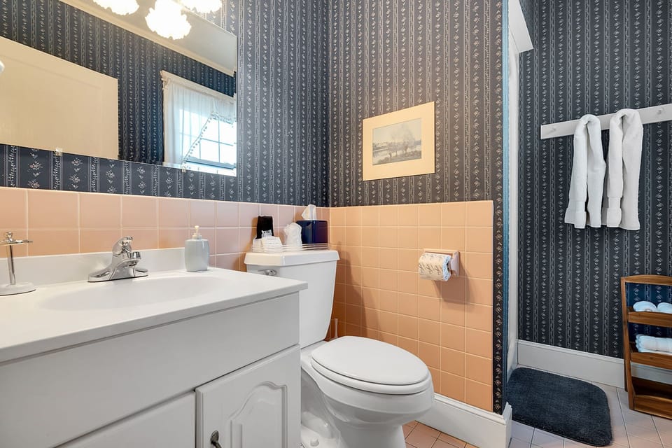 Silver Birch | Bathroom | Shower, hair dryer, towels, toilet paper
