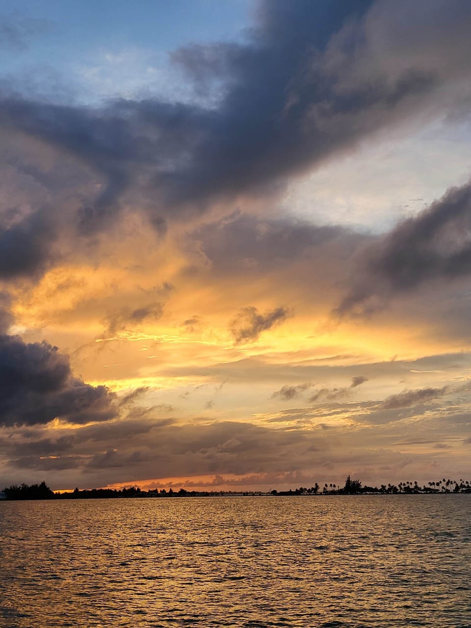 Sunset Tours PR Rentals Experience Request for Special Pricing by staying with us!