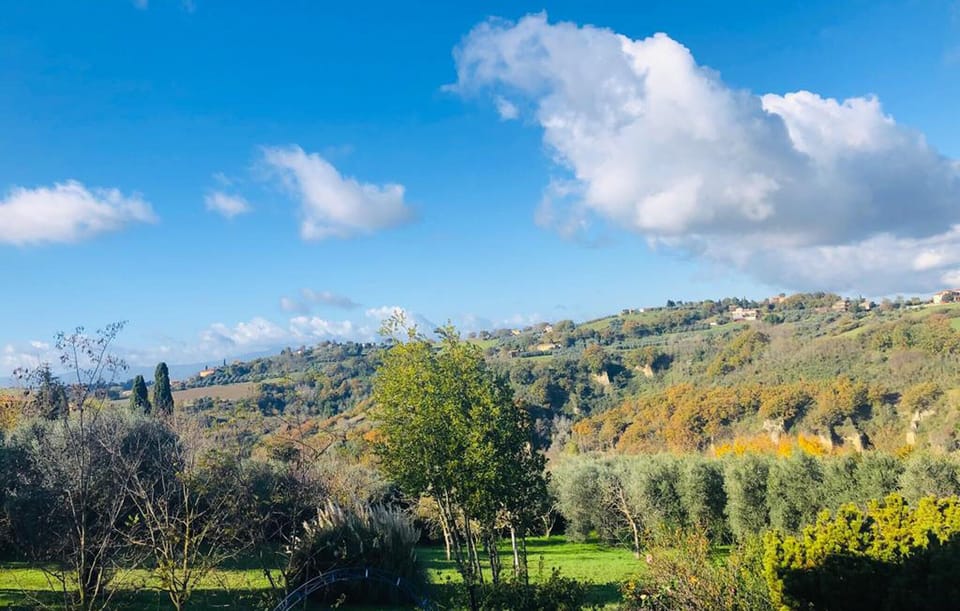 view-from-room