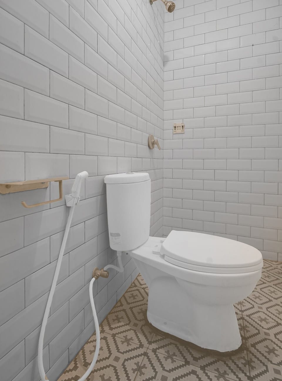 Shower, bidet, towels, soap