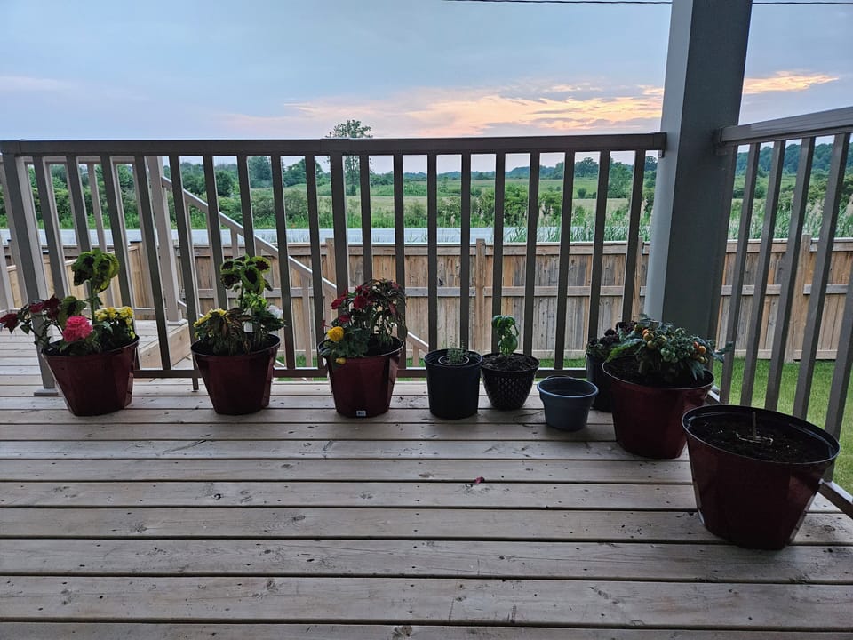 Terrace/patio