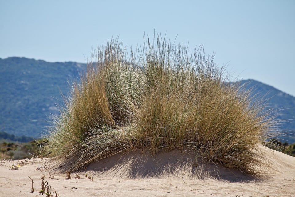 Surroundings [summer] (1-5 km)