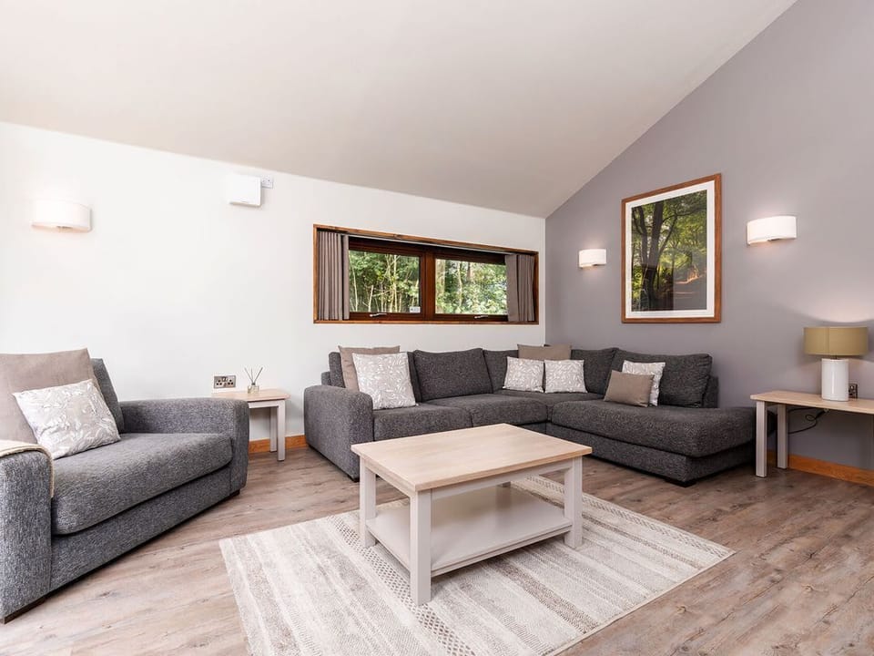 Glentress Forest White Willow Premium