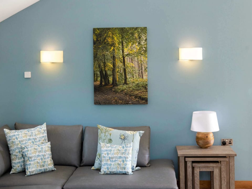 Glentress Forest Silver Birch