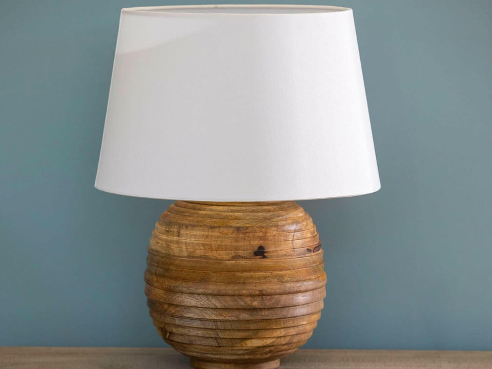 Glentress Forest Silver Birch