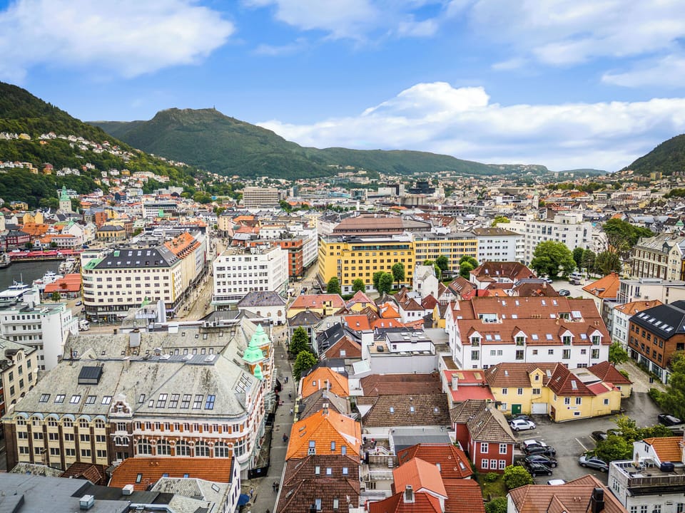 House, City View | Aerial view