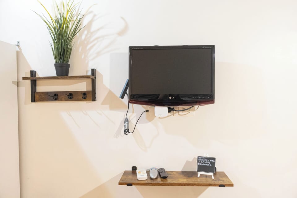 Television