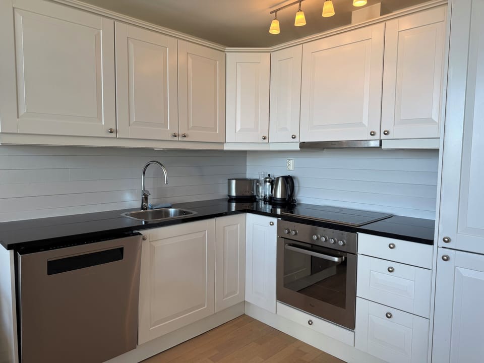 Deluxe Apartment | Private kitchen | Fridge, microwave, oven, stovetop